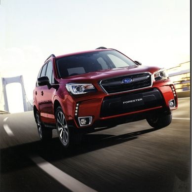 Subaru Forester driving on a forest trail